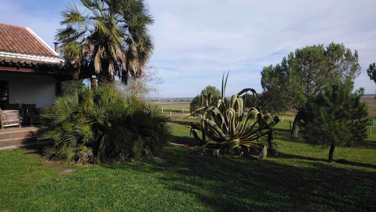 Lodge Monte Do Sobral Alcáçovas 外观 照片