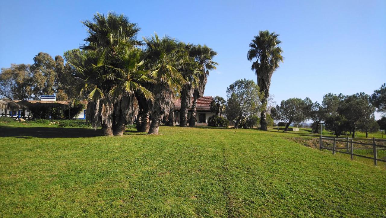 Lodge Monte Do Sobral Alcáçovas 外观 照片