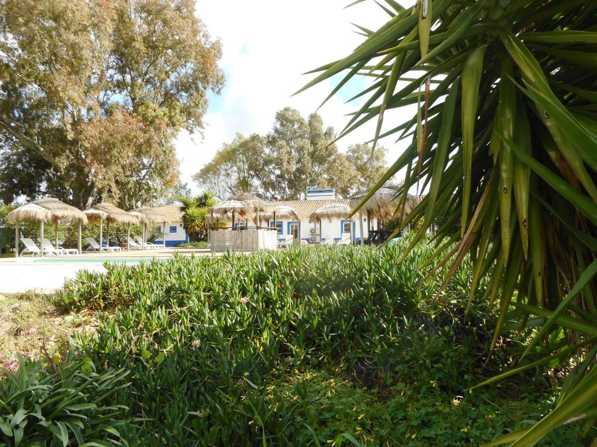 Lodge Monte Do Sobral Alcáçovas 外观 照片