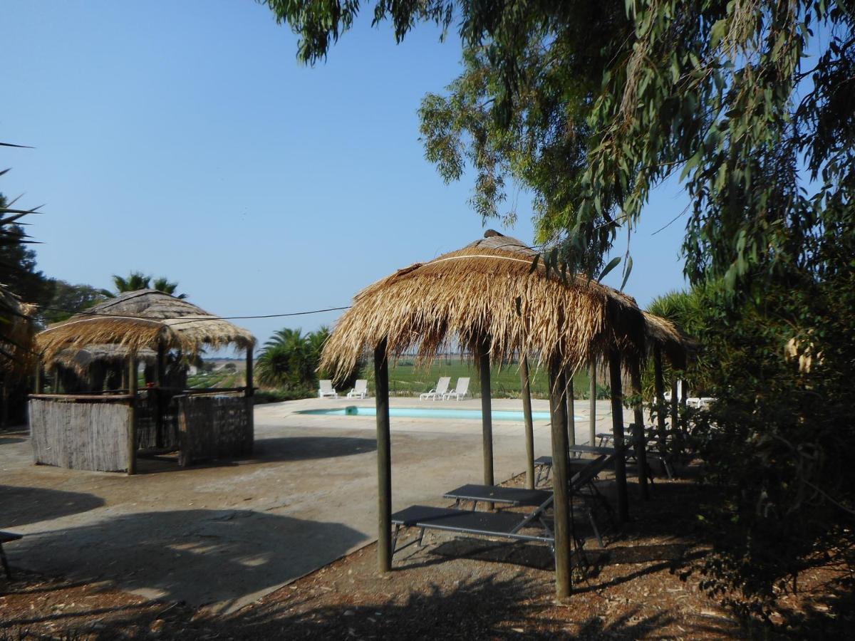 Lodge Monte Do Sobral Alcáçovas 外观 照片